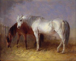 Caballos grises y castaños